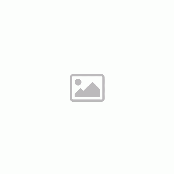 S BAG Electrolux AEG E210S Gr210S porzs k